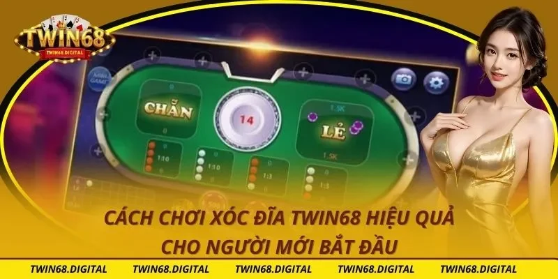 Cách Chơi Xóc Đĩa Twin68 Hiệu Quả Cho Người Mới Bắt Đầu