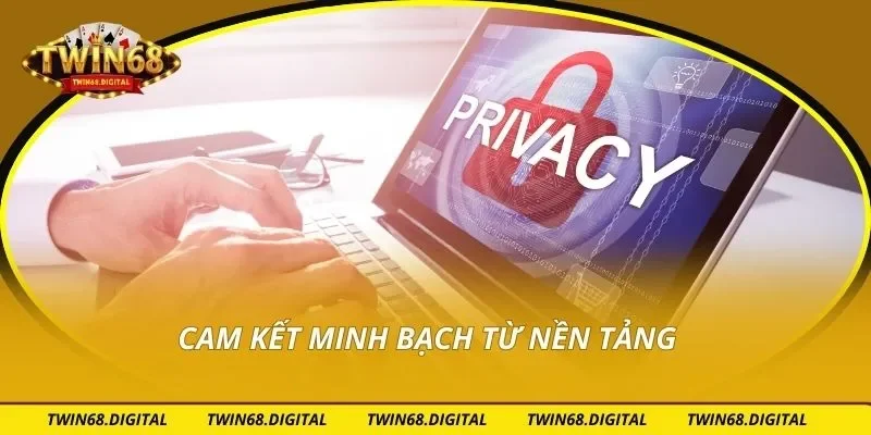 Cam kết minh bạch từ nền tảng
